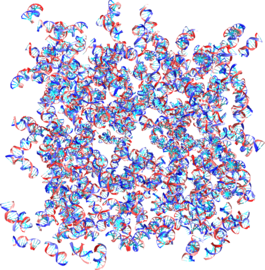 Nematic phases formed by short DNA duplexes